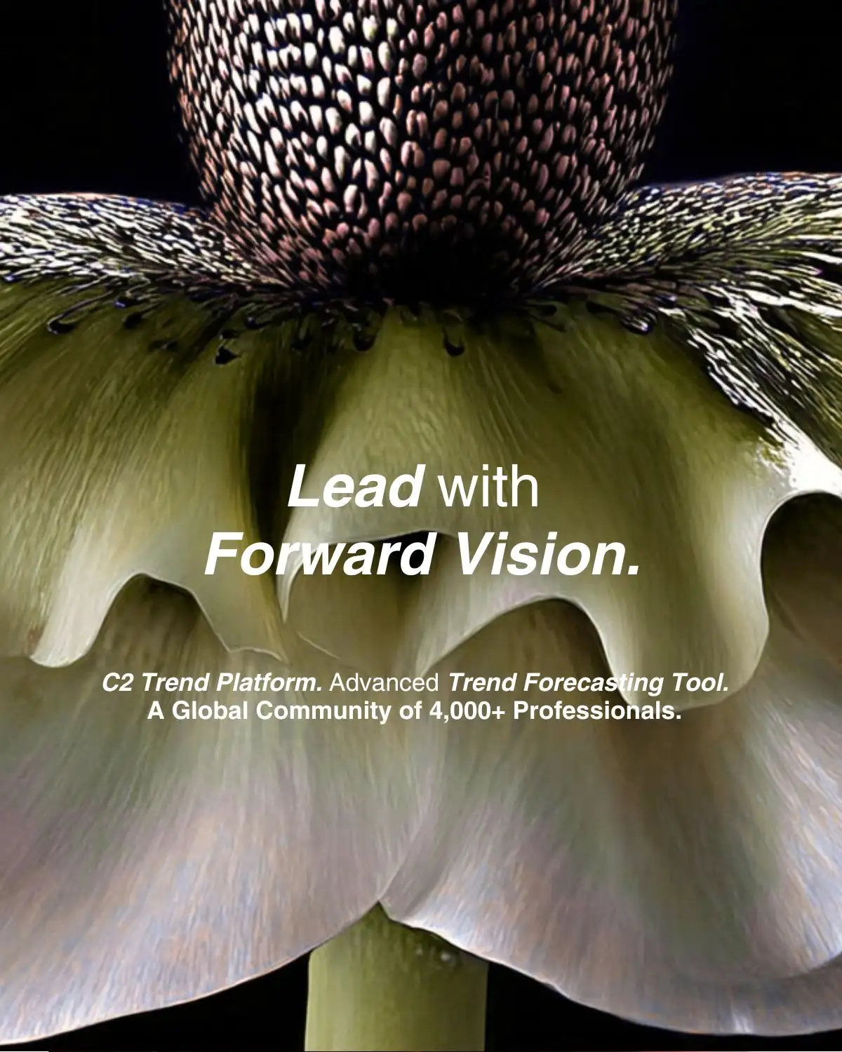 C2 FASHION STUDIO - SPRING SUMMER 2028